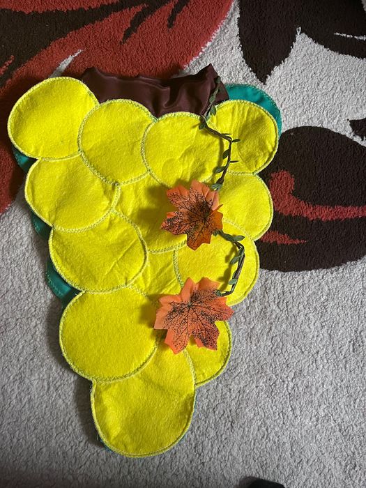 Costum pentru carnavalul toamnei!