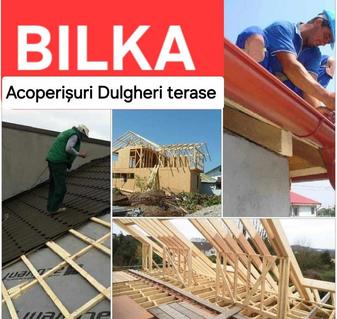 Executări Dulgheri Reparații acoperișuri Montaj Tablă Bilka țiglă