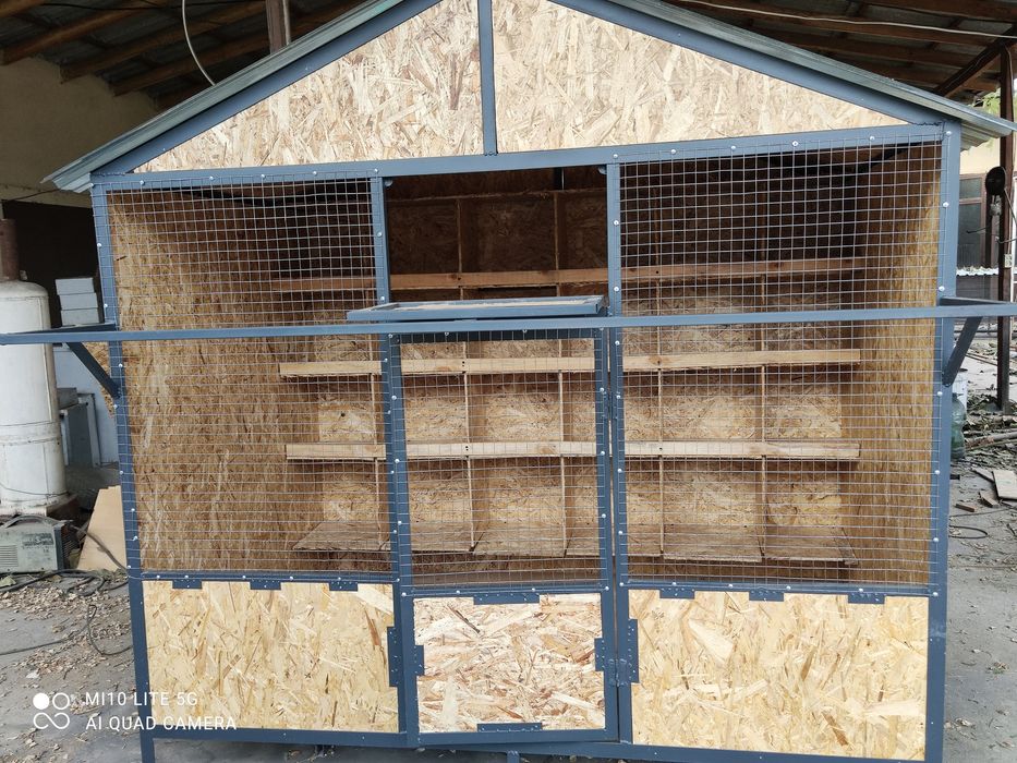 Chiroyli Kabutar kataklar