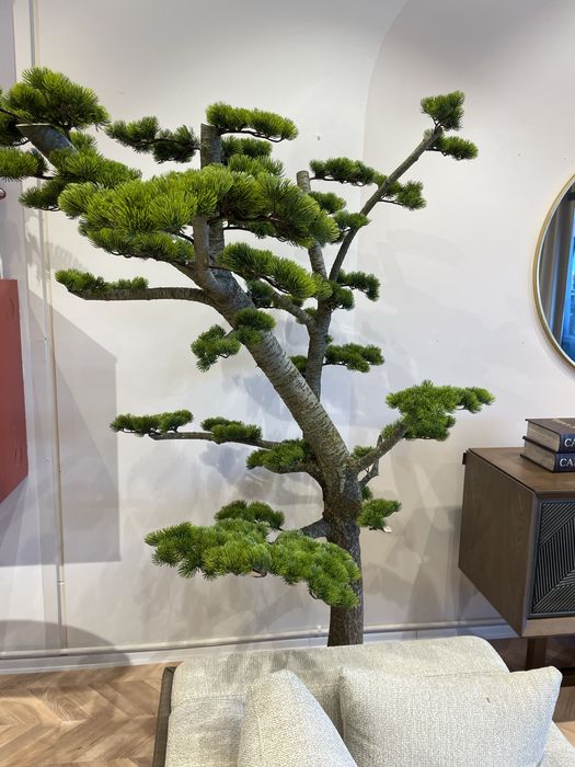 Decor ,copac ornamental trunchi natural