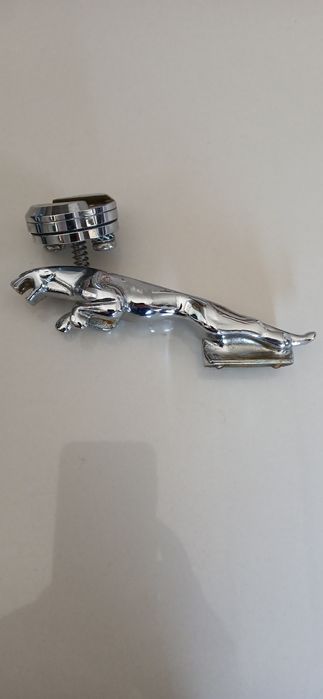 Leaper capota Jaguar
