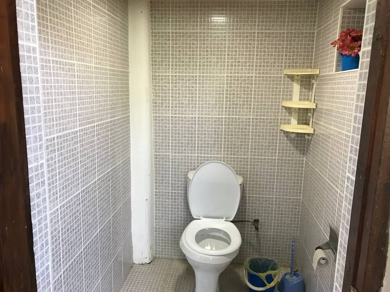 Parkentda oilaviy dacha