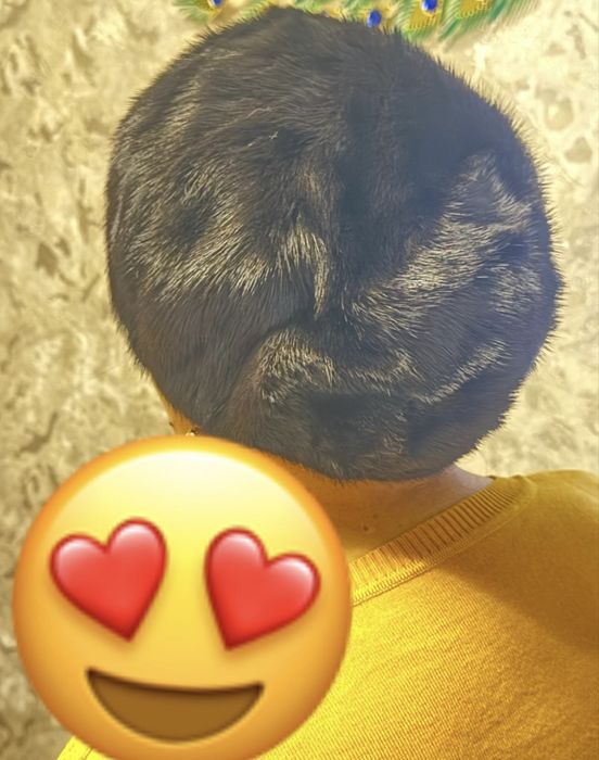 Продам шапку норковую. Состояние отличное!