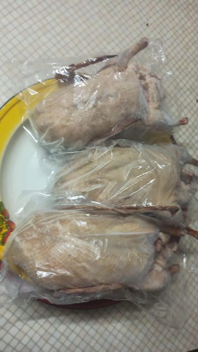 Продам мясо домашнего гуся, индейки