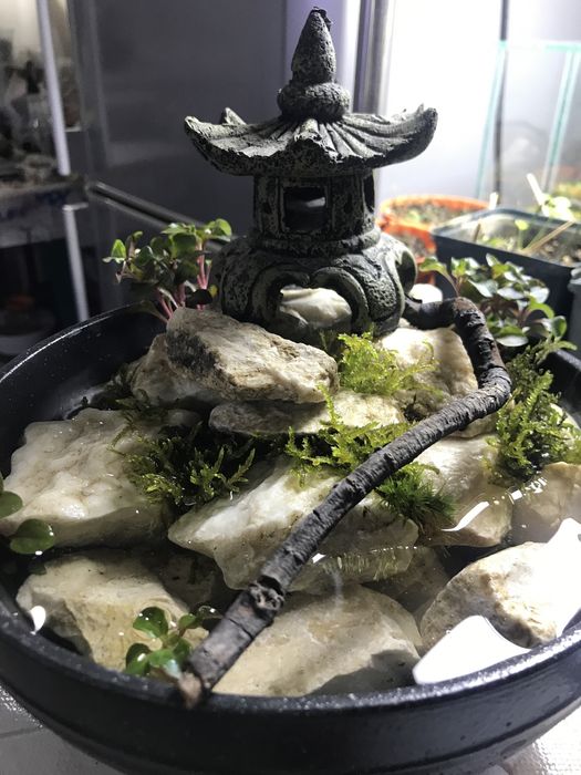 Продам мини водопад!