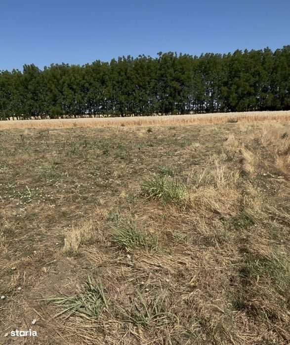 Vând Fermă. Agricolă aproximativ 8 Ha