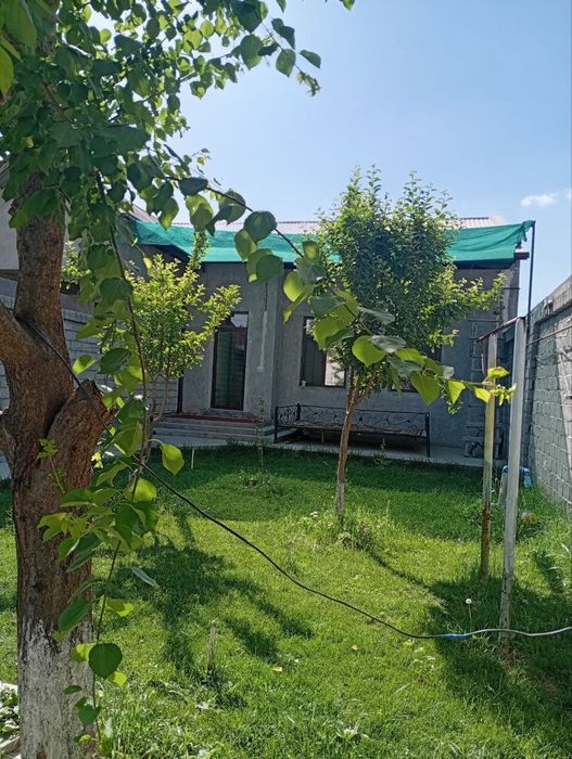 Барданкул 3 соток 3 хона оилага ховли ижара топ. 600 у.е.