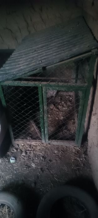 Клетка для курей и петухов