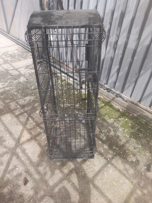 Клетка птици метална