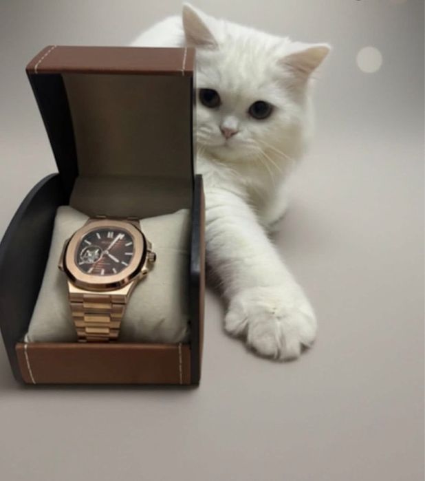 Seiko Mod Nautilus  mecanism NH38A japonez