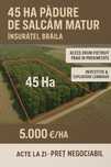 Pădure de Salcâm, 45 ha, Investiție & Exploatare Lemnoasă