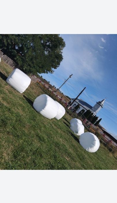 Baloti infoliati de vanzare