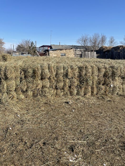 Продам сена в тюк лугавоие