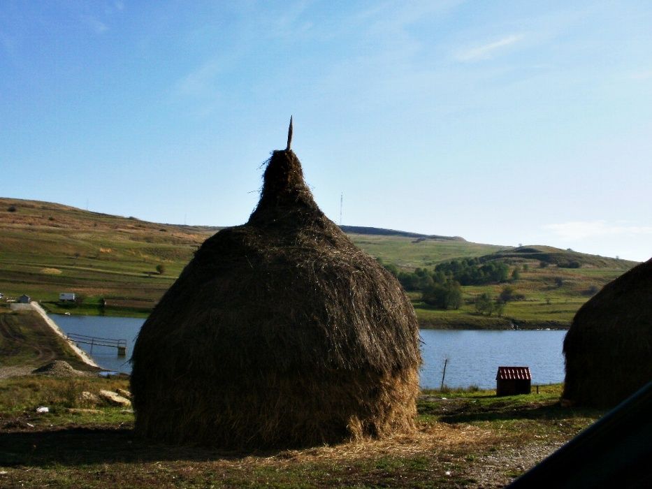 Ferma cu iazuri in Suceava 16 hectare