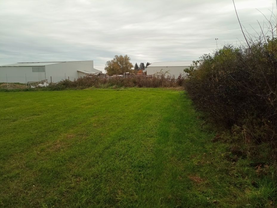 Продава се Парцел в с. Пчелник, Област Варна - 855 кв.м за 18 €/кв.м - Снимка #8