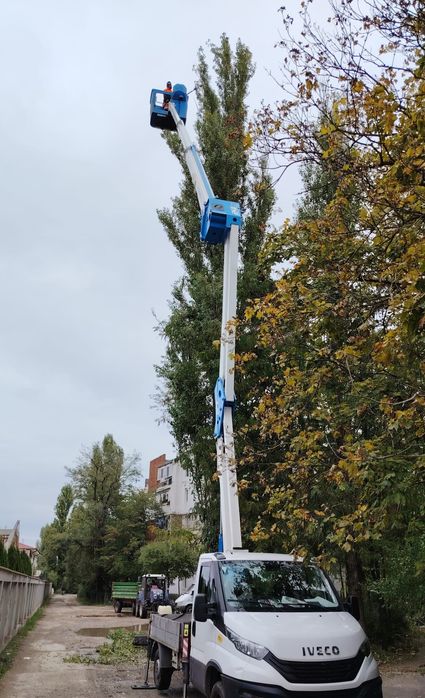 Toaletare/Fasonare/Tăieri Arbori/Alpinism Utilitar/Defrișări/Rapid.