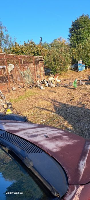 Продавам токачки 25лв. бройката
