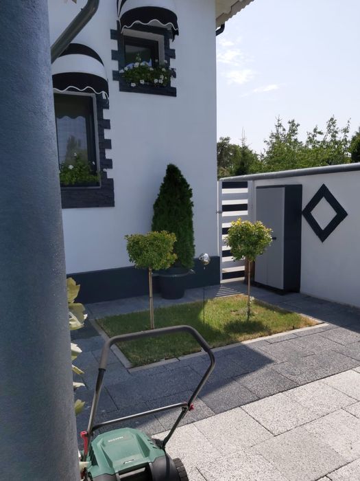 Decorăm grădini cu plante si gazon