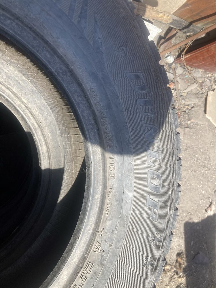 Продам ризину R17