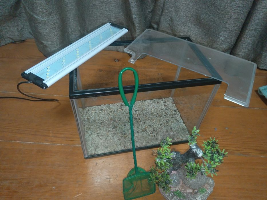 Аквариум для рыб