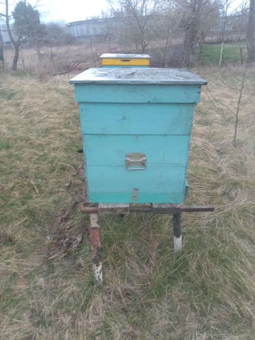 Vind lazi stupi pe10 și 12rame