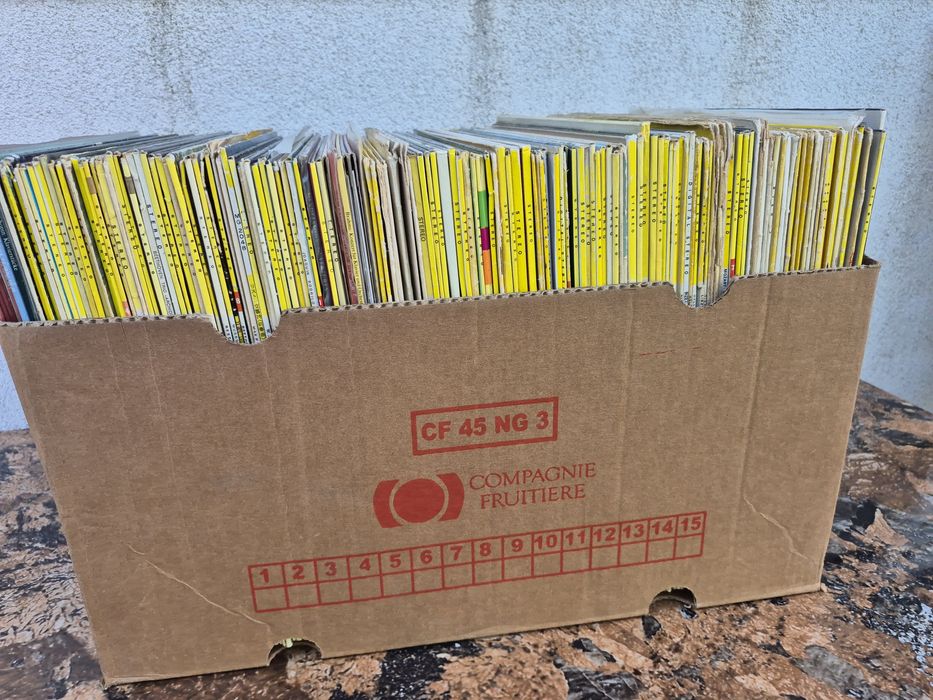 Lot 100Discuri Vinil de colectia Deutsche Grammophon muzica clasica