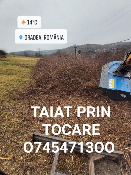 Taiat iarba defrisat vegetație scos cu rădăcină.