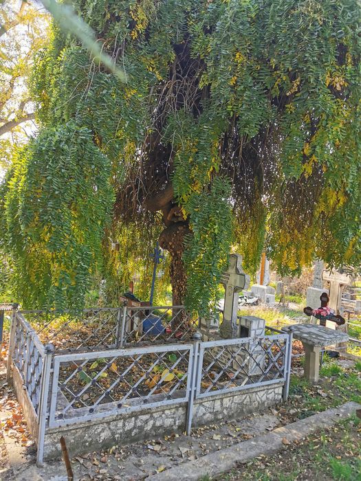 Vând loc de veci în cimitirul Eternitatea
