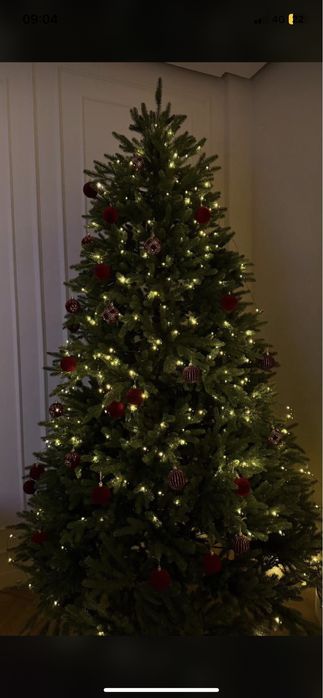 Елка, шырша 2025года