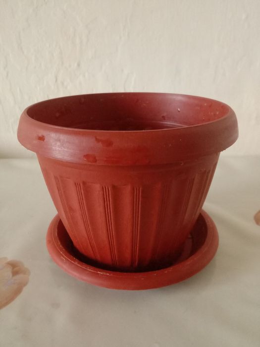 горшок для цветов