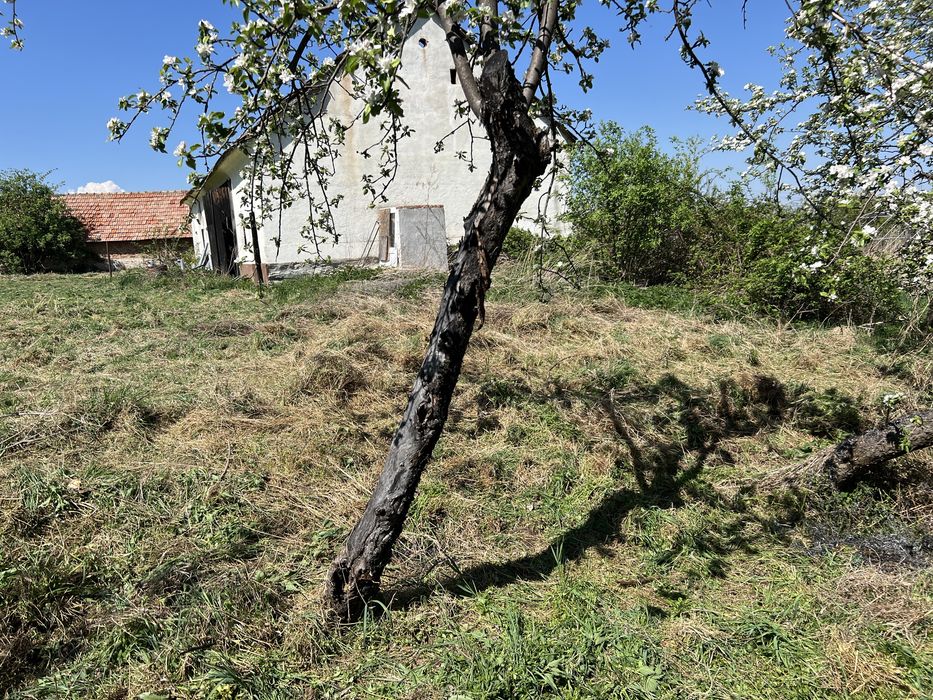 Casa de vanzare! Propietate ideală!