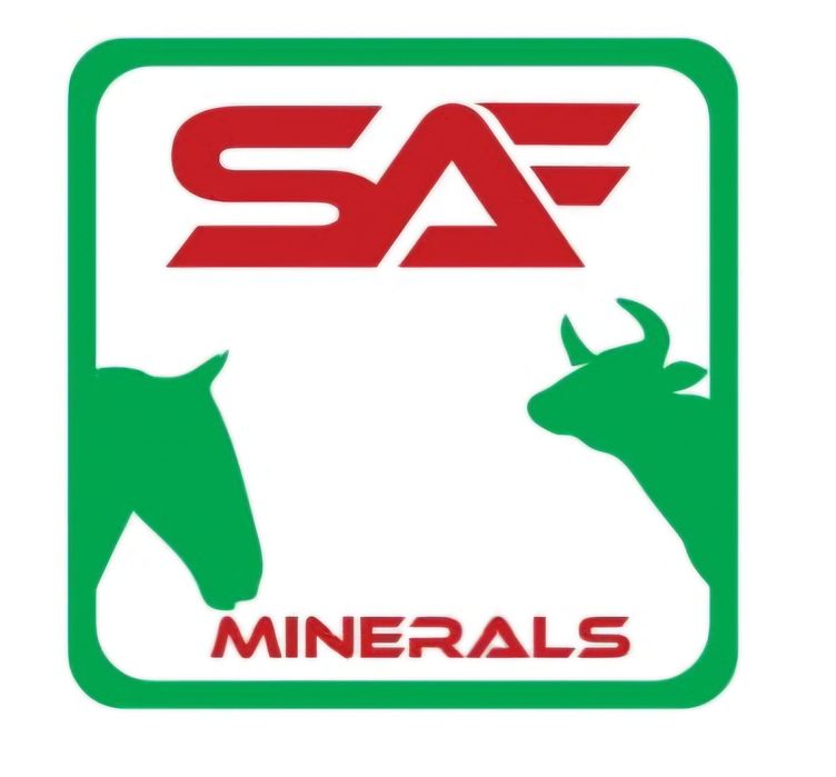 Sare vitaminizat cu melasa blocuri minerale cu oligo elemente