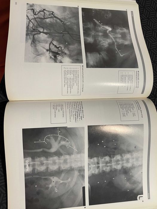 Atlas imagistic de anatomie umana Wolfe medicina rezidentiat impecabil