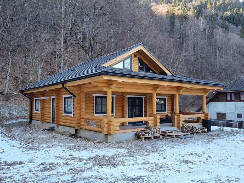 case si cabane din busteni