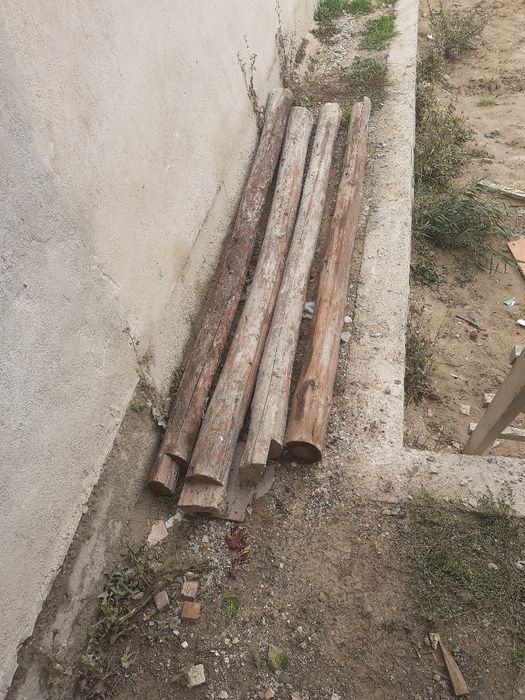 кругляк саснааааааа