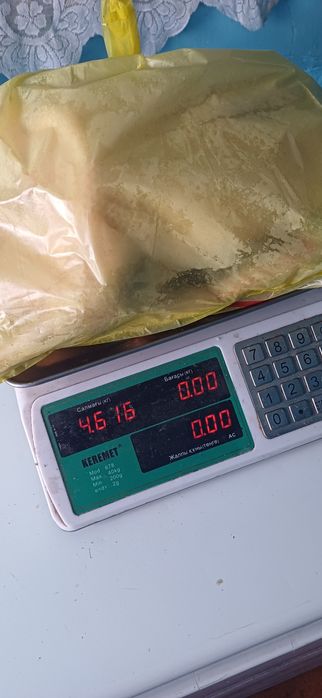 Гуси.  Домашние.