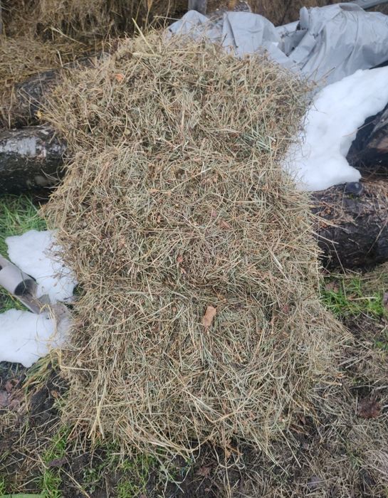 Vând baloți  de fân și  otavă