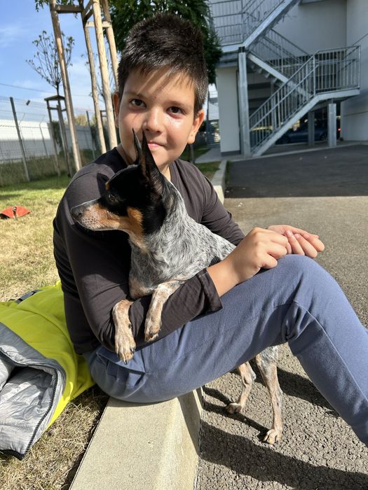 Продавам кристални дървени светещи огледала 2 бро