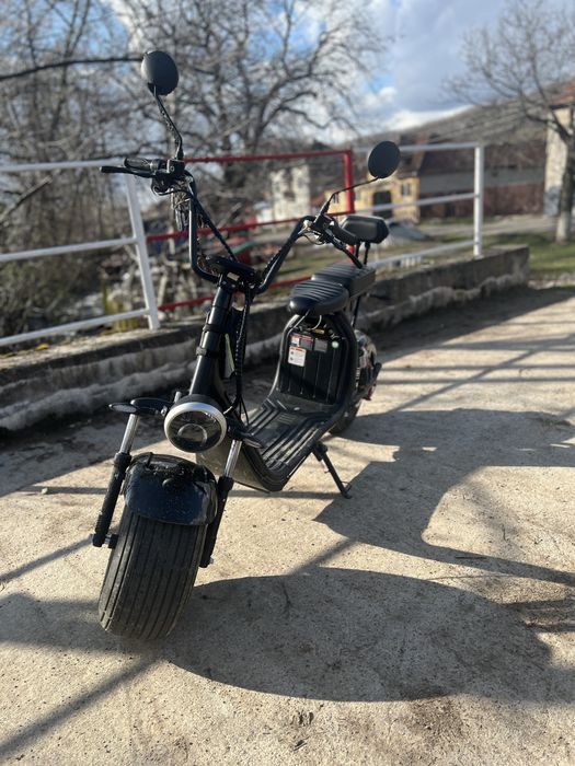 Scuter chopper 2024