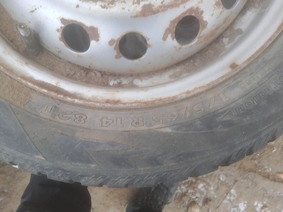 Бір сезон жүріп тастауға болады