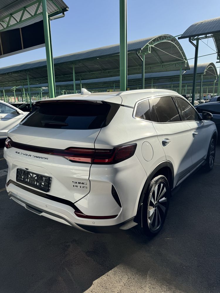 BYD Champion hybrid 150 full