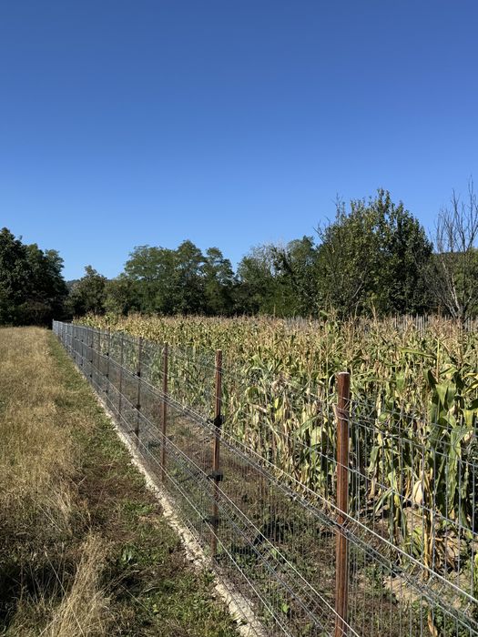 Teren intravilan de vanzare