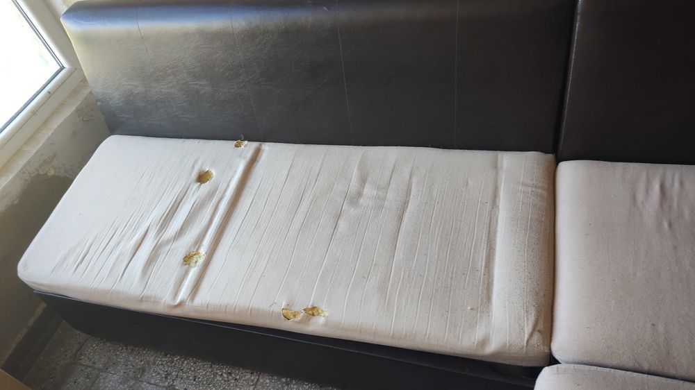 Ъглов Диван с функция сън и ракли