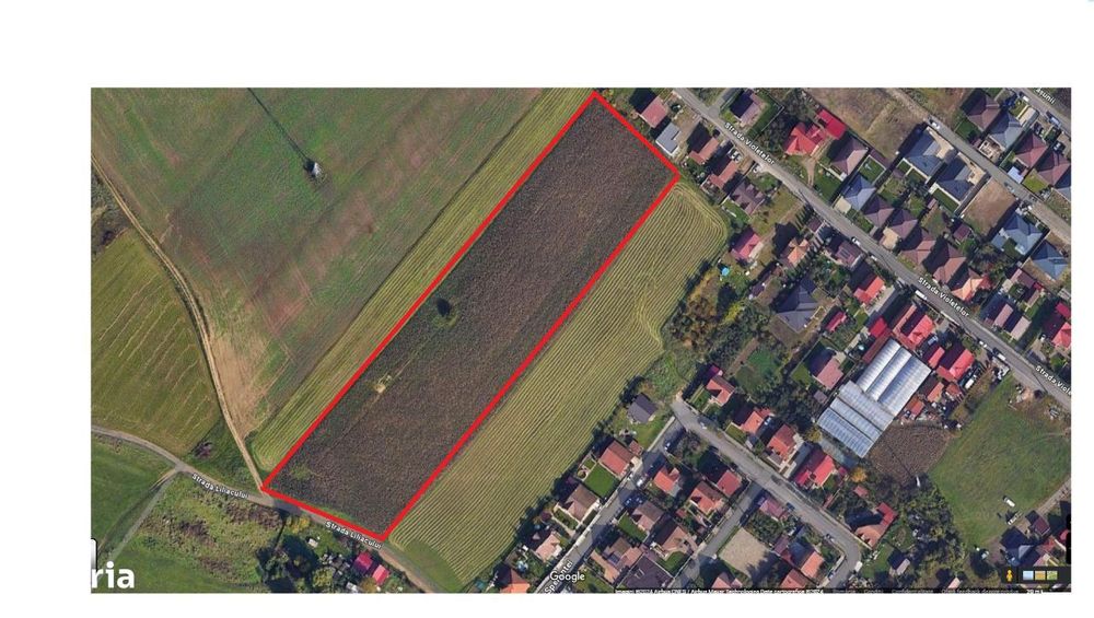 Teren intravilan 11492 mp, Nazna, utilitati