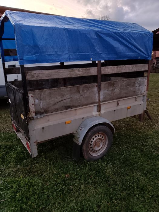 Vănd sau schimb cu vacă