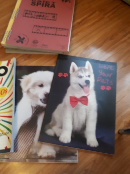 Caiete studentesti si A5