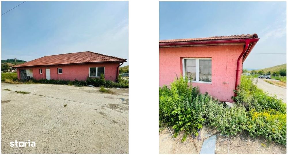 Ferma Lechinta, Bistrita Nasaud- 3001031