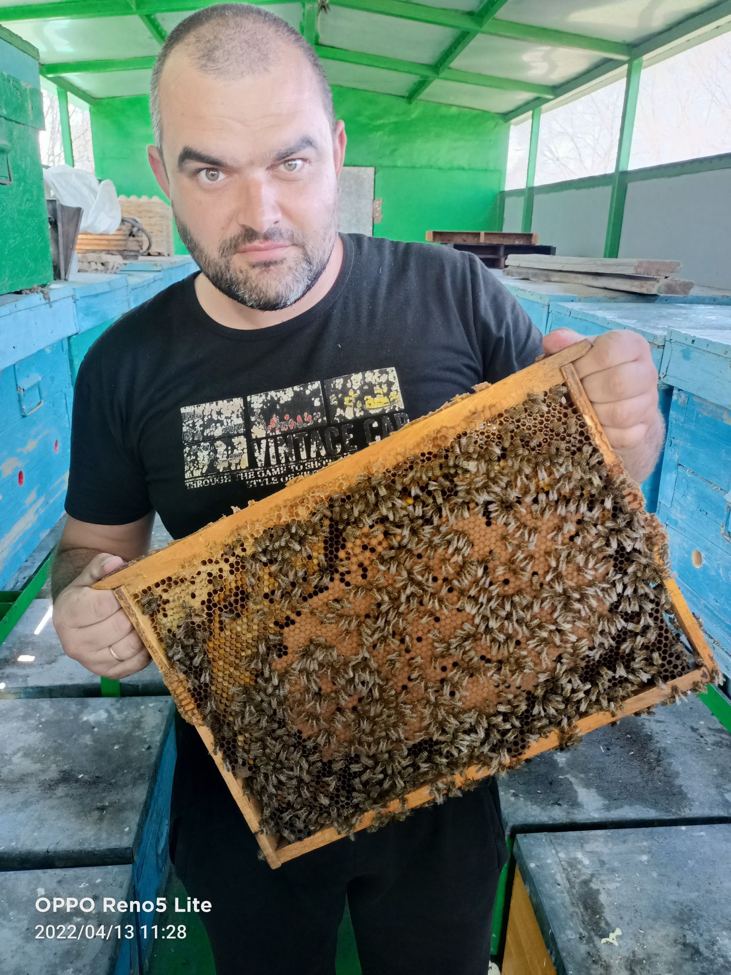 Натуральный мёд разных сортов