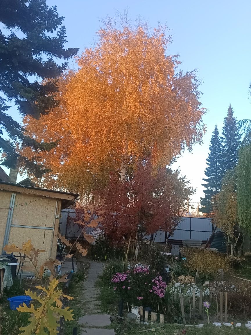 Продам зимнюю дачу в городе