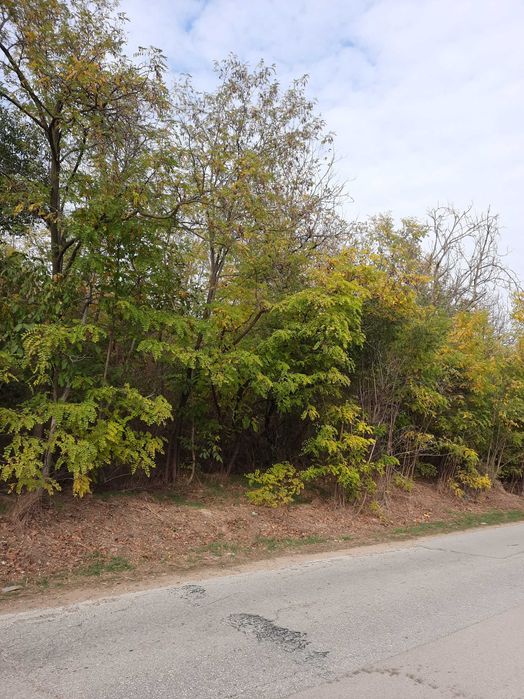 Земеделски имот в град  Плевен